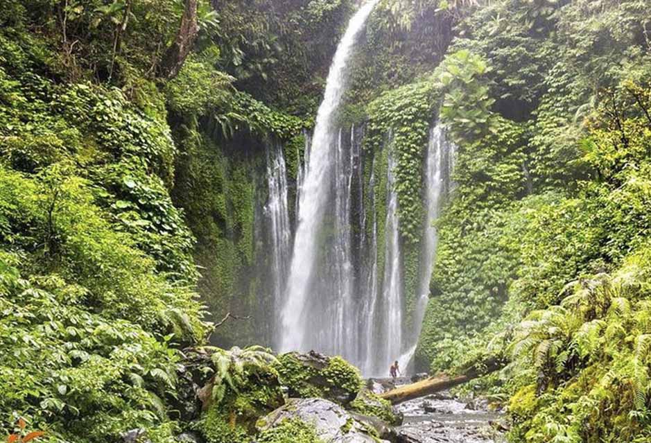 Sendang Gile and Tiu Kelep Waterfall Tour