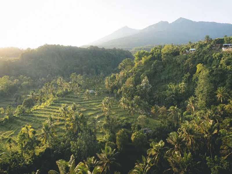 Read more about the article Senaru Lombok